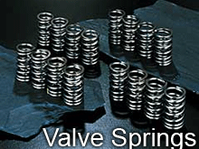 junvalvesprings.gif